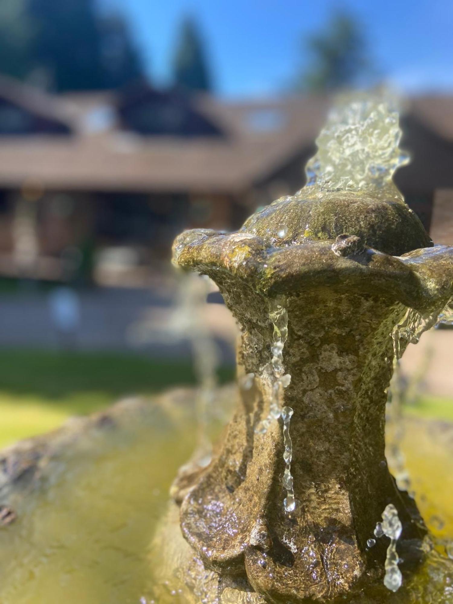 Barncroft Luxury Bed & Breakfast ソリフル エクステリア 写真
